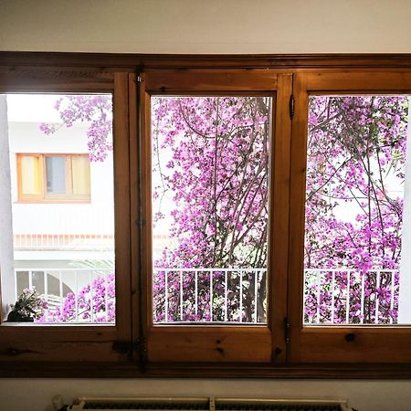 El Penell Apartament Llevant Vilamaniscle Екстериор снимка