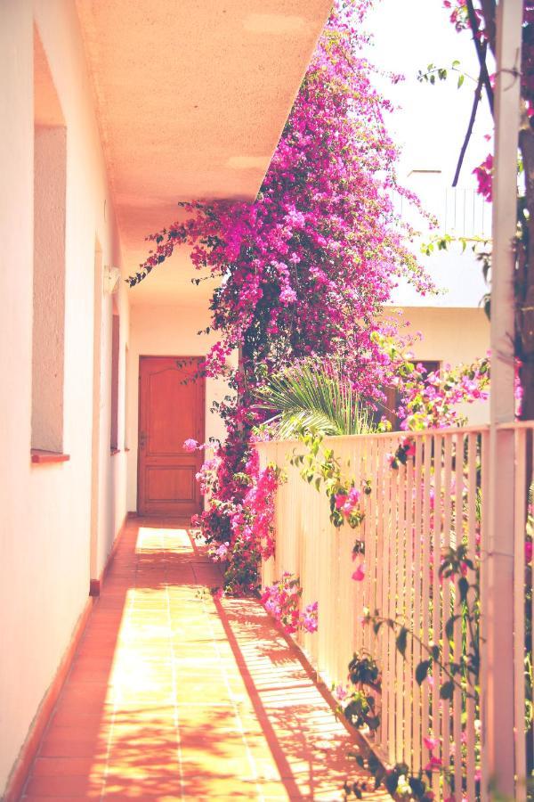 El Penell Apartament Llevant Vilamaniscle Екстериор снимка