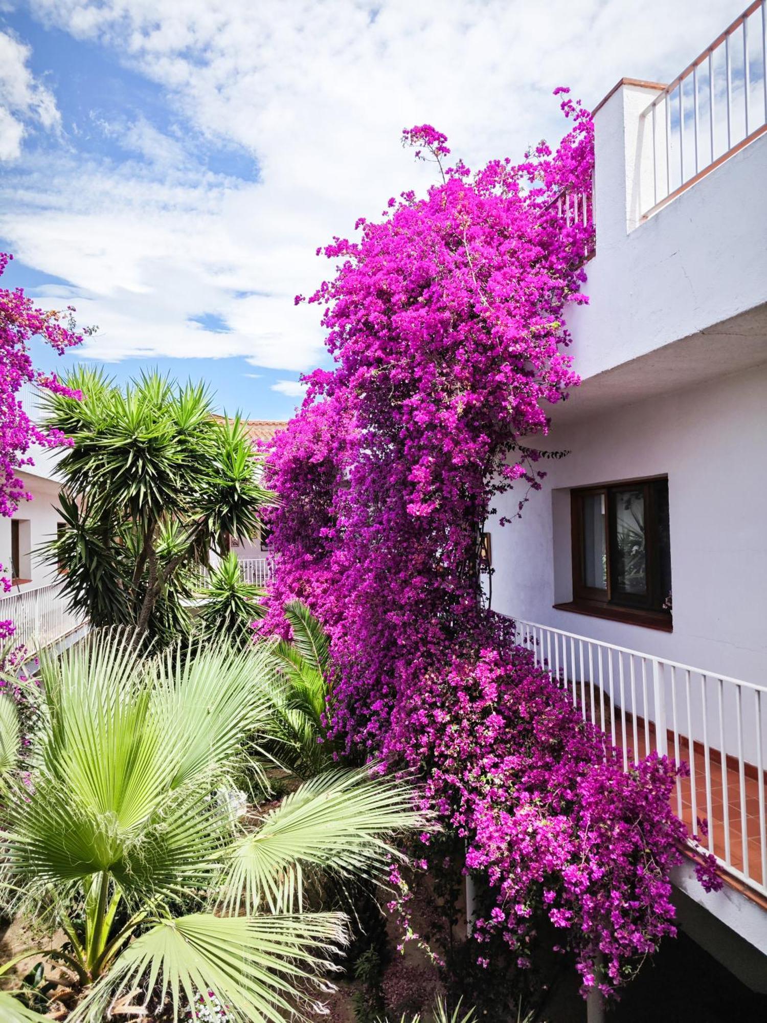 El Penell Apartament Llevant Vilamaniscle Екстериор снимка